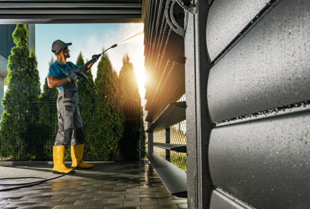 Best Solar Panel Cleaning  in Polo, IL